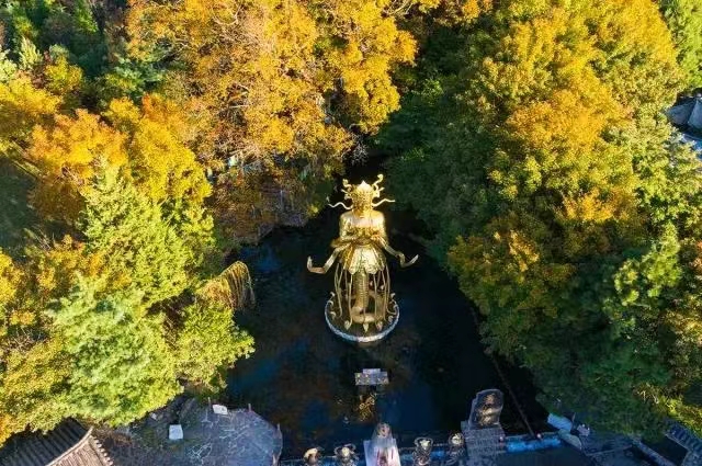 神泉古樹